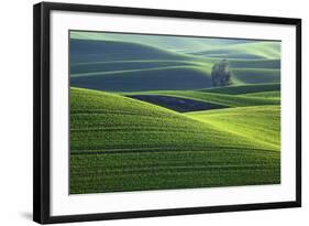 Washington, Steptoe Butte. Scenic of Rolling Green Palouse Hills-Jaynes Gallery-Framed Photographic Print