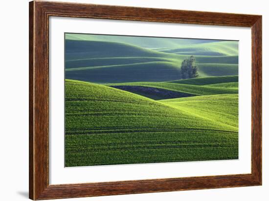 Washington, Steptoe Butte. Scenic of Rolling Green Palouse Hills-Jaynes Gallery-Framed Photographic Print