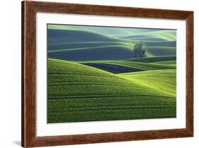 Washington, Steptoe Butte. Scenic of Rolling Green Palouse Hills-Jaynes Gallery-Framed Photographic Print