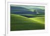 Washington, Steptoe Butte. Scenic of Rolling Green Palouse Hills-Jaynes Gallery-Framed Photographic Print