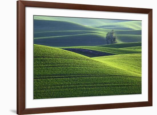 Washington, Steptoe Butte. Scenic of Rolling Green Palouse Hills-Jaynes Gallery-Framed Photographic Print