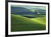 Washington, Steptoe Butte. Scenic of Rolling Green Palouse Hills-Jaynes Gallery-Framed Photographic Print