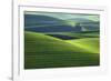 Washington, Steptoe Butte. Scenic of Rolling Green Palouse Hills-Jaynes Gallery-Framed Photographic Print