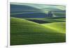 Washington, Steptoe Butte. Scenic of Rolling Green Palouse Hills-Jaynes Gallery-Framed Photographic Print