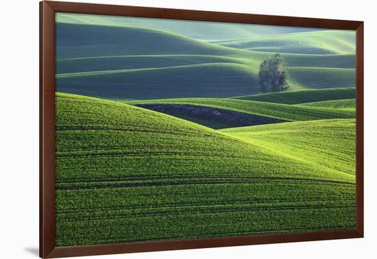 Washington, Steptoe Butte. Scenic of Rolling Green Palouse Hills-Jaynes Gallery-Framed Photographic Print