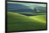 Washington, Steptoe Butte. Scenic of Rolling Green Palouse Hills-Jaynes Gallery-Framed Photographic Print