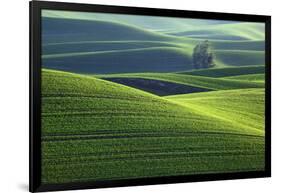 Washington, Steptoe Butte. Scenic of Rolling Green Palouse Hills-Jaynes Gallery-Framed Photographic Print