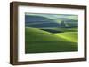 Washington, Steptoe Butte. Scenic of Rolling Green Palouse Hills-Jaynes Gallery-Framed Photographic Print