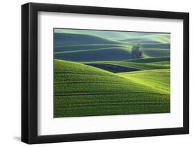 Washington, Steptoe Butte. Scenic of Rolling Green Palouse Hills-Jaynes Gallery-Framed Photographic Print