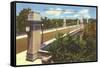 Washington Street Bridge, Wilmington, Delaware-null-Framed Stretched Canvas