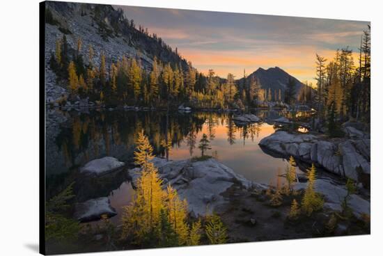 Washington, Subalpine Larch Surround Horseshoe Lake, Alpine Lakes Wilderness at Sunrise-Gary Luhm-Stretched Canvas