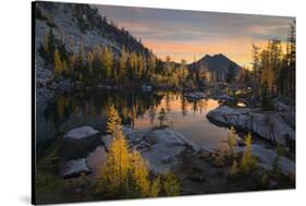 Washington, Subalpine Larch Surround Horseshoe Lake, Alpine Lakes Wilderness at Sunrise-Gary Luhm-Stretched Canvas