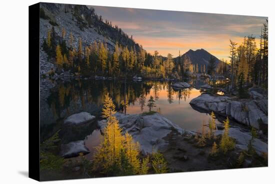 Washington, Subalpine Larch Surround Horseshoe Lake, Alpine Lakes Wilderness at Sunrise-Gary Luhm-Stretched Canvas