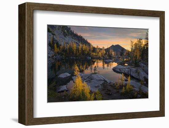 Washington, Subalpine Larch Surround Horseshoe Lake, Alpine Lakes Wilderness at Sunrise-Gary Luhm-Framed Photographic Print