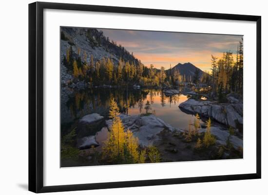 Washington, Subalpine Larch Surround Horseshoe Lake, Alpine Lakes Wilderness at Sunrise-Gary Luhm-Framed Photographic Print