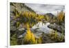 Washington, Subalpine Larch Surround Horseshoe Lake, Alpine Lakes Wilderness-Gary Luhm-Framed Premium Photographic Print