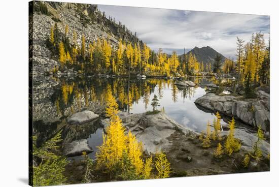 Washington, Subalpine Larch Surround Horseshoe Lake, Alpine Lakes Wilderness-Gary Luhm-Stretched Canvas