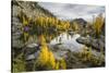 Washington, Subalpine Larch Surround Horseshoe Lake, Alpine Lakes Wilderness-Gary Luhm-Stretched Canvas