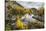 Washington, Subalpine Larch Surround Horseshoe Lake, Alpine Lakes Wilderness-Gary Luhm-Stretched Canvas