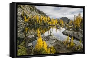 Washington, Subalpine Larch Surround Horseshoe Lake, Alpine Lakes Wilderness-Gary Luhm-Framed Stretched Canvas