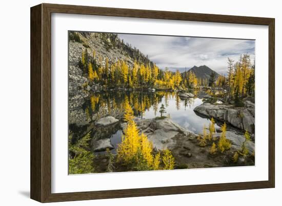 Washington, Subalpine Larch Surround Horseshoe Lake, Alpine Lakes Wilderness-Gary Luhm-Framed Photographic Print