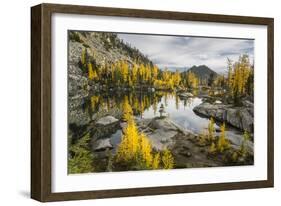 Washington, Subalpine Larch Surround Horseshoe Lake, Alpine Lakes Wilderness-Gary Luhm-Framed Photographic Print