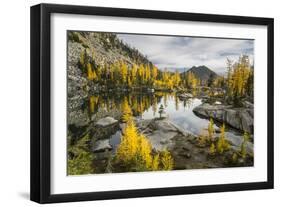 Washington, Subalpine Larch Surround Horseshoe Lake, Alpine Lakes Wilderness-Gary Luhm-Framed Photographic Print
