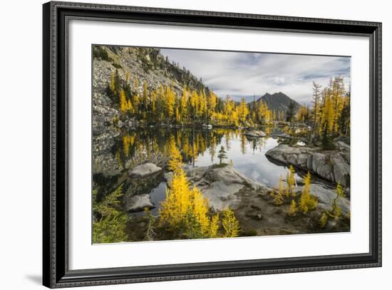 Washington, Subalpine Larch Surround Horseshoe Lake, Alpine Lakes Wilderness-Gary Luhm-Framed Photographic Print