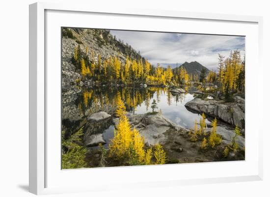 Washington, Subalpine Larch Surround Horseshoe Lake, Alpine Lakes Wilderness-Gary Luhm-Framed Photographic Print