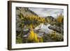 Washington, Subalpine Larch Surround Horseshoe Lake, Alpine Lakes Wilderness-Gary Luhm-Framed Photographic Print