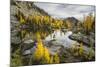 Washington, Subalpine Larch Surround Horseshoe Lake, Alpine Lakes Wilderness-Gary Luhm-Mounted Photographic Print