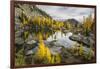 Washington, Subalpine Larch Surround Horseshoe Lake, Alpine Lakes Wilderness-Gary Luhm-Framed Photographic Print