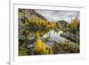 Washington, Subalpine Larch Surround Horseshoe Lake, Alpine Lakes Wilderness-Gary Luhm-Framed Photographic Print