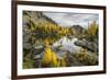 Washington, Subalpine Larch Surround Horseshoe Lake, Alpine Lakes Wilderness-Gary Luhm-Framed Photographic Print