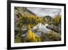 Washington, Subalpine Larch Surround Horseshoe Lake, Alpine Lakes Wilderness-Gary Luhm-Framed Photographic Print