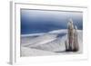 Washington, Trees in Wheat Field with Patterns and Snow-Terry Eggers-Framed Photographic Print