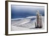 Washington, Trees in Wheat Field with Patterns and Snow-Terry Eggers-Framed Photographic Print