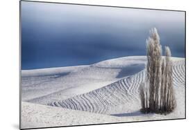 Washington, Trees in Wheat Field with Patterns and Snow-Terry Eggers-Mounted Photographic Print