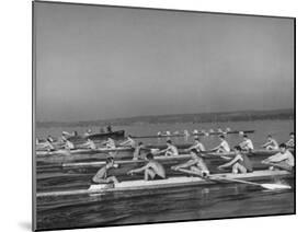 Washington Univ. Rowing Team Practicing on Lake Washington-J^ R^ Eyerman-Mounted Photographic Print