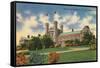 Washington University, St. Louis-null-Framed Stretched Canvas