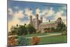 Washington University, St. Louis-null-Mounted Premium Giclee Print