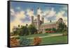 Washington University, St. Louis-null-Framed Stretched Canvas