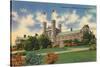 Washington University, St. Louis-null-Stretched Canvas