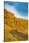 Washington, Vantage Car on Road Through Columbia River Basalt Group-Richard Duval-Stretched Canvas