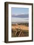 Washington, Walla Walla Co, Whitman Mission Nhs, Oregon Trail Fence-Brent Bergherm-Framed Photographic Print