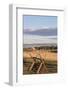 Washington, Walla Walla Co, Whitman Mission Nhs, Oregon Trail Fence-Brent Bergherm-Framed Photographic Print