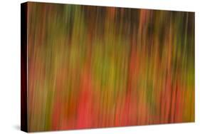 Washington, Walla Walla. Whitman Mission. Smooth Sumac in Fall Colors-Brent Bergherm-Stretched Canvas