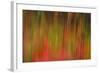 Washington, Walla Walla. Whitman Mission. Smooth Sumac in Fall Colors-Brent Bergherm-Framed Photographic Print