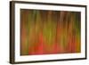 Washington, Walla Walla. Whitman Mission. Smooth Sumac in Fall Colors-Brent Bergherm-Framed Photographic Print