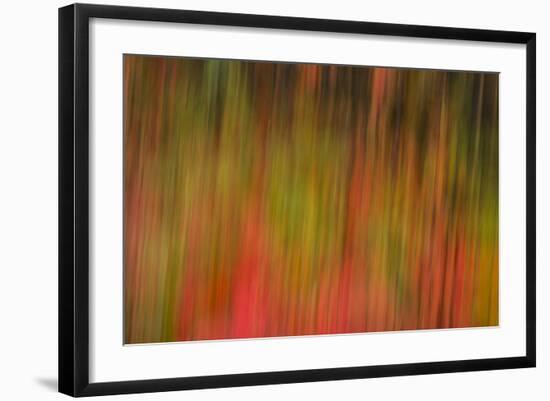 Washington, Walla Walla. Whitman Mission. Smooth Sumac in Fall Colors-Brent Bergherm-Framed Photographic Print